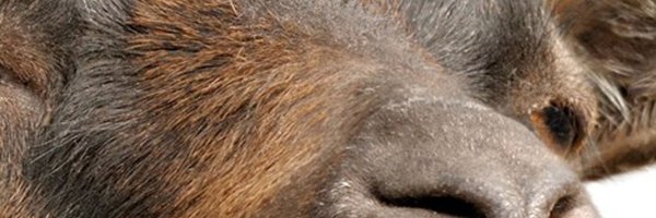 badunclemusic Profile Banner