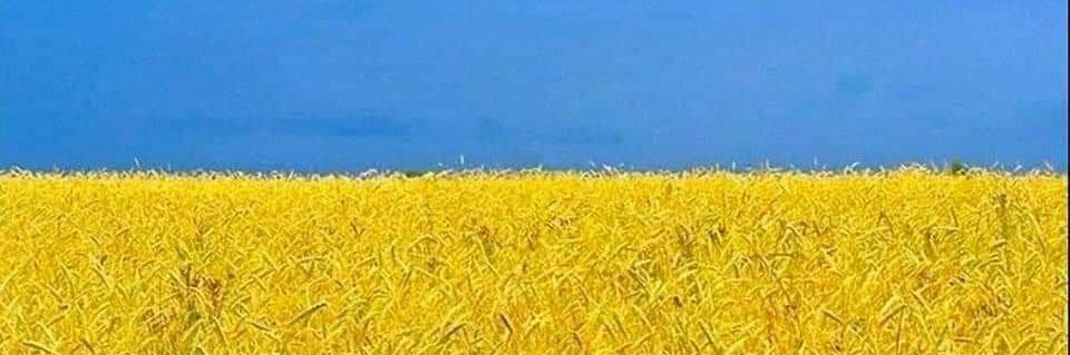 Dinesh Fernando banner