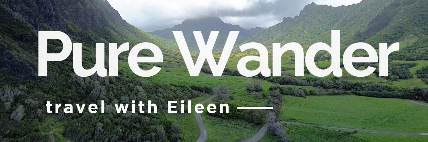 Pure Wander | Eileen Cotter Wright banner