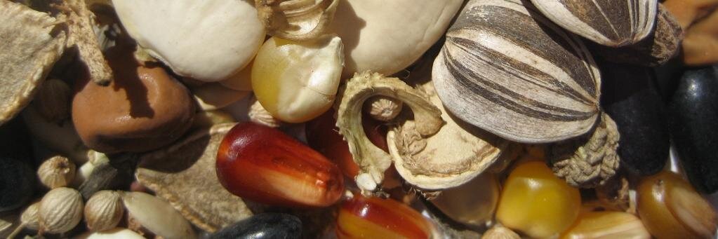SeedLibrary's profile banner image