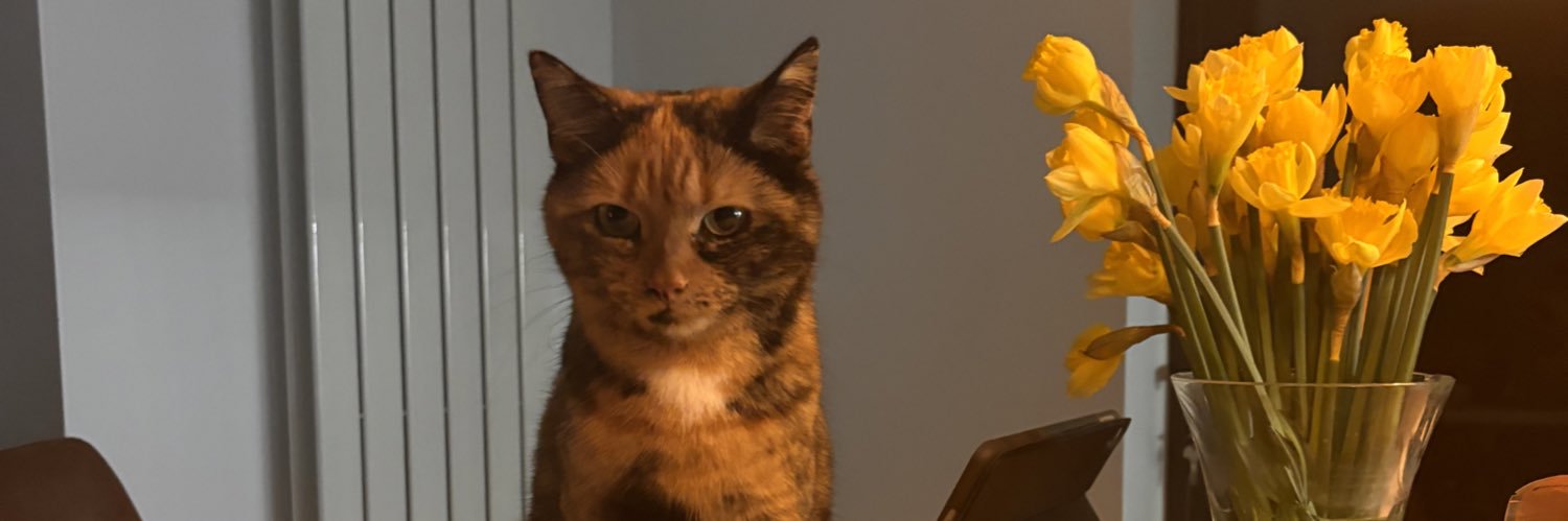 Clar Ni Chonubhair's banner
