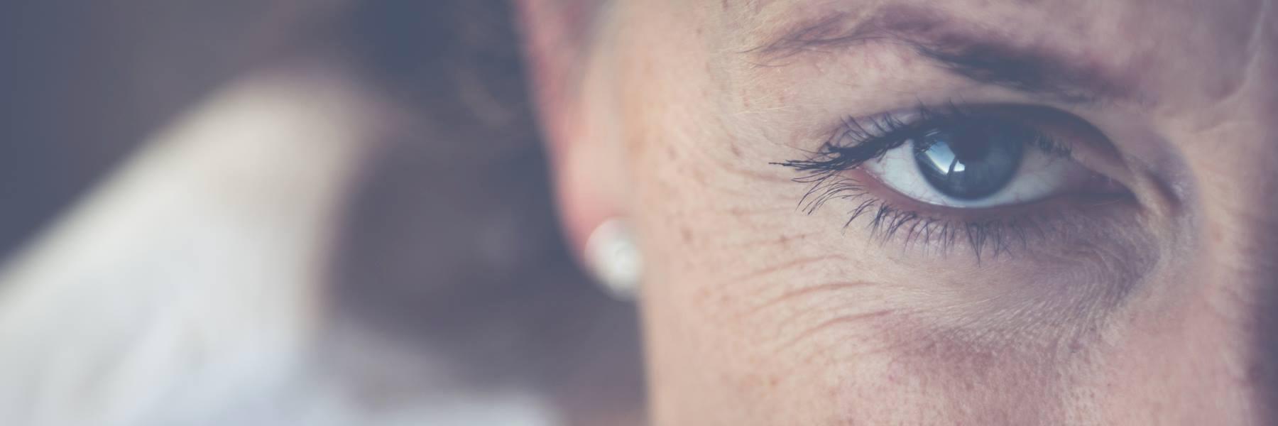 pamelavsabljar's profile banner image