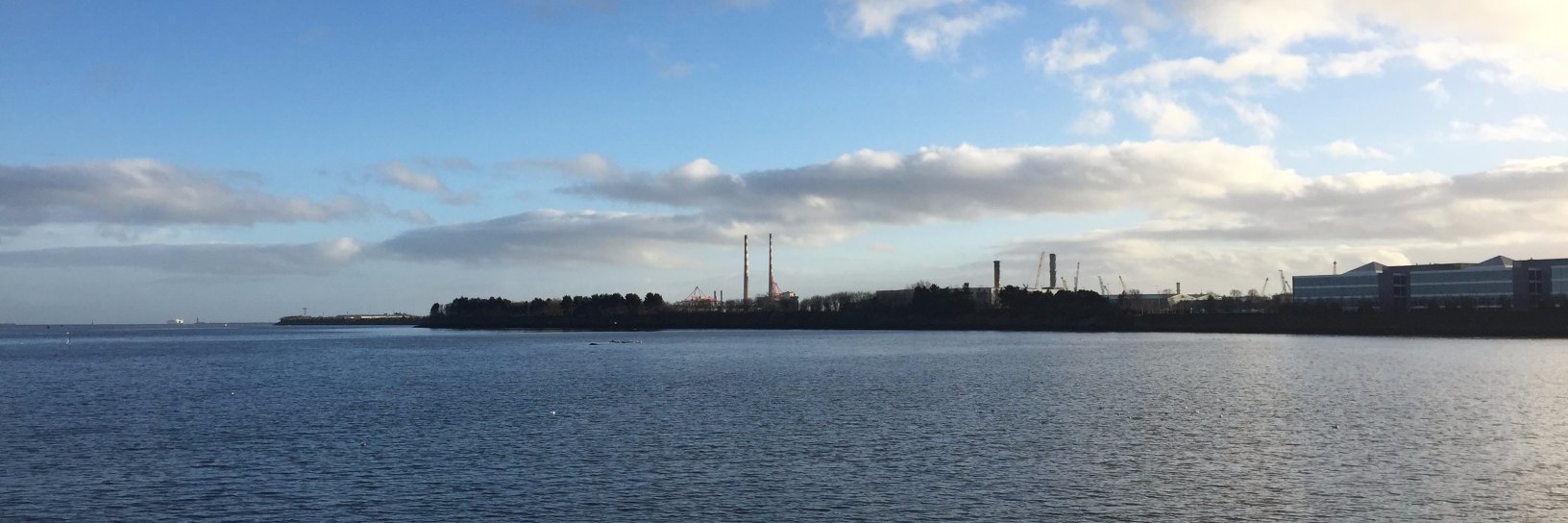 Sarah O'Farrell banner