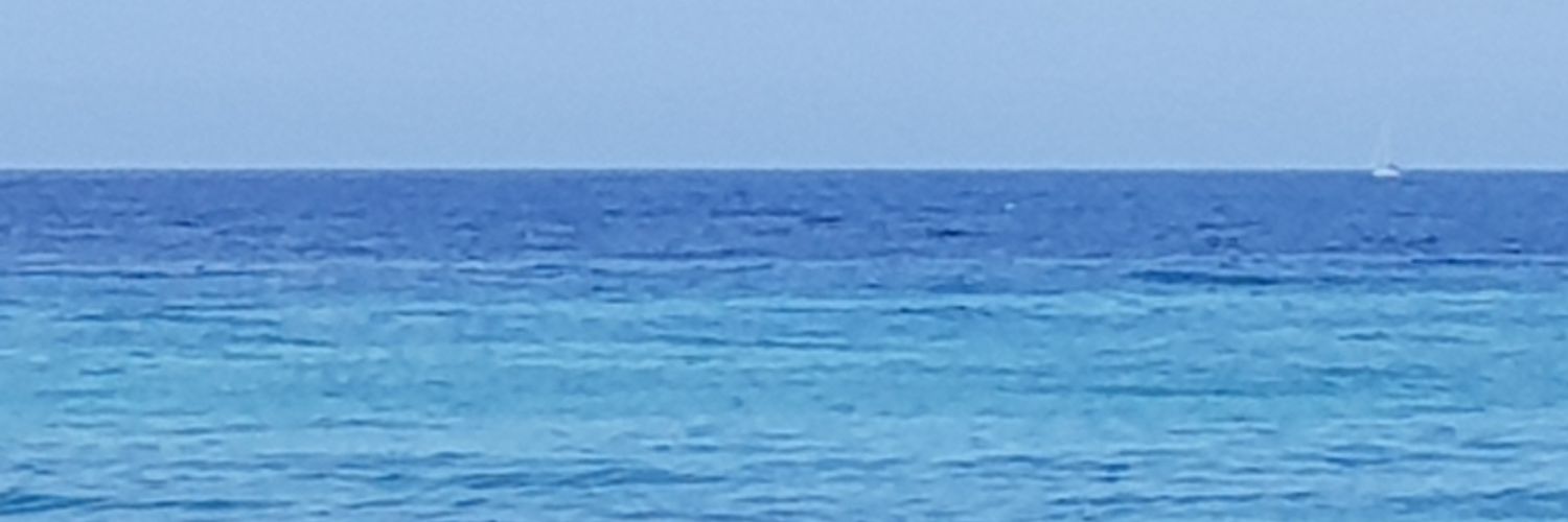 haraldo_'s profile banner image
