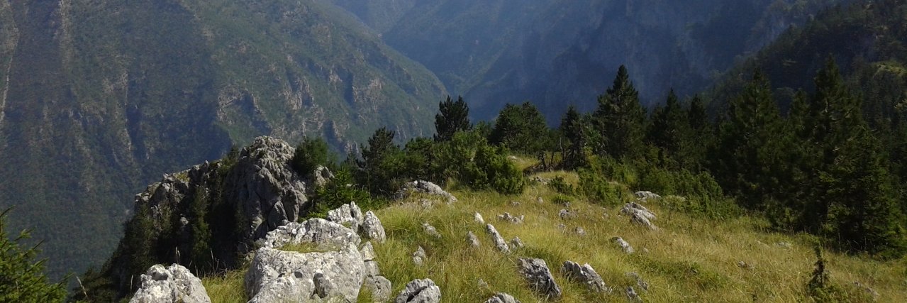 Jānis Siliņš banner