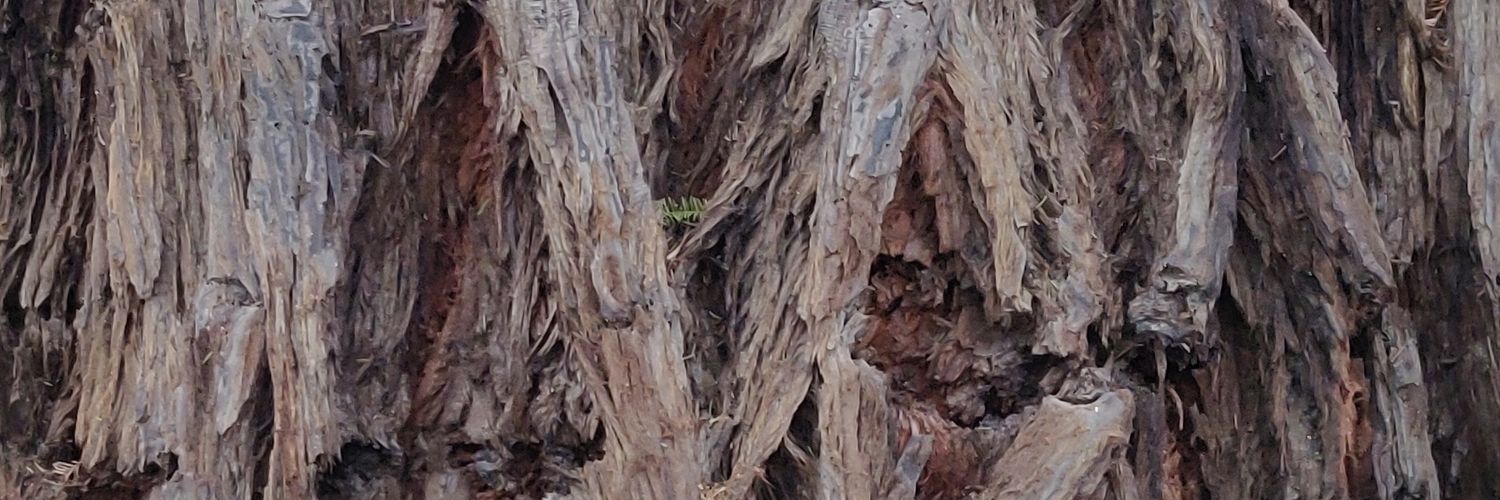 t_141's profile banner image