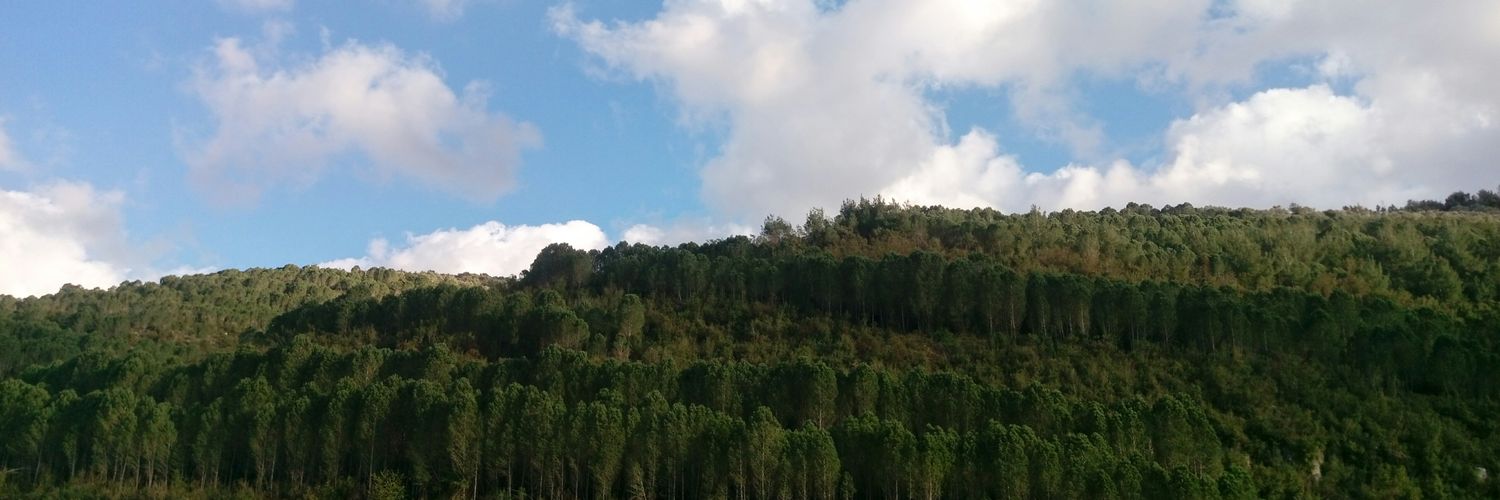 smirjaber's profile banner image
