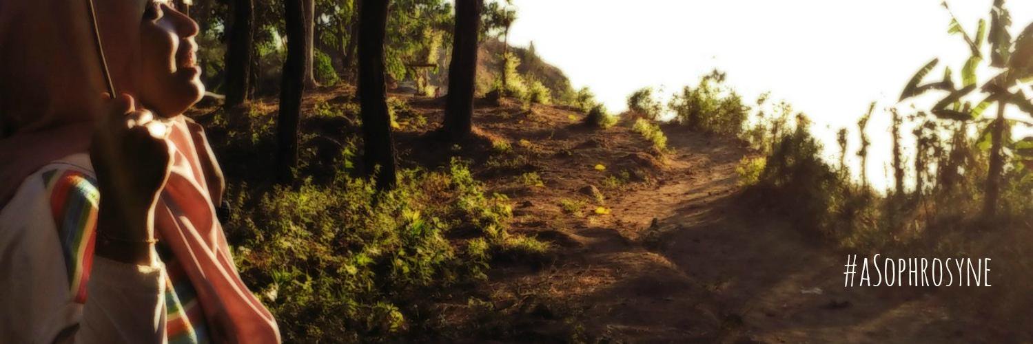 ImGroot_ImGroot's profile banner image