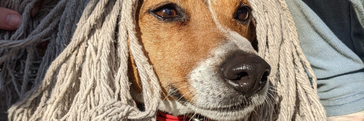 Kārlis Rozenbergs banner