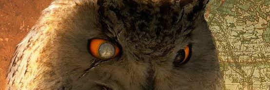Odankrueger's profile banner image