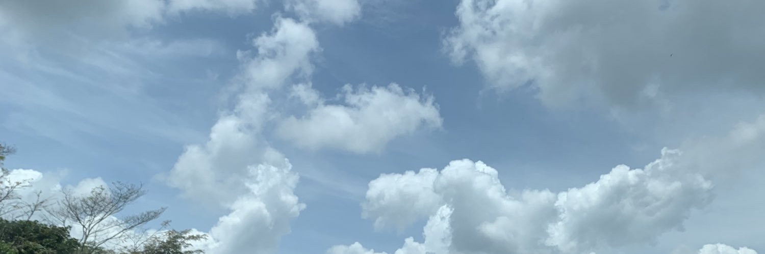 estinur's profile banner image