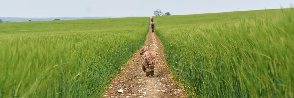 peterliving's profile banner image