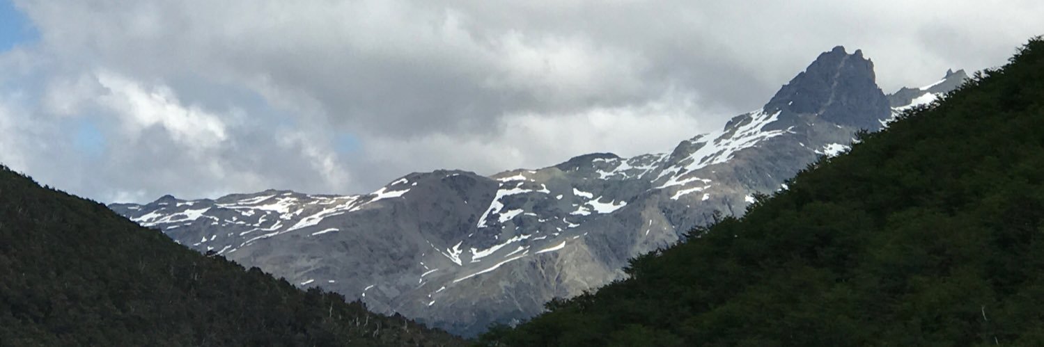 Eileen Bramlet banner