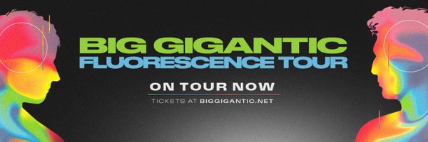 BigGigantic Profile Banner