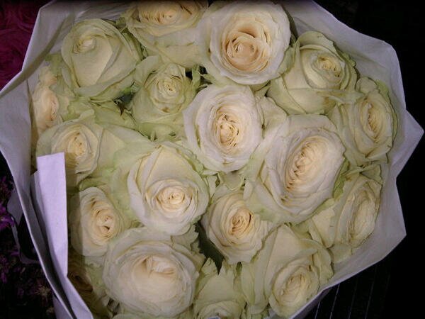 IMAYcsb's profile banner image