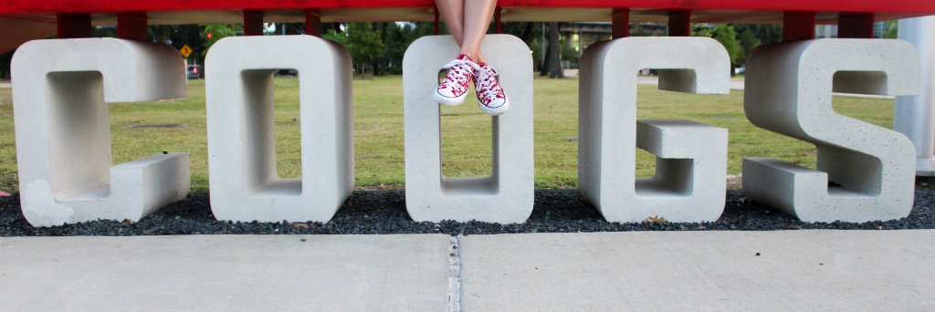 heythereivannah's profile banner image