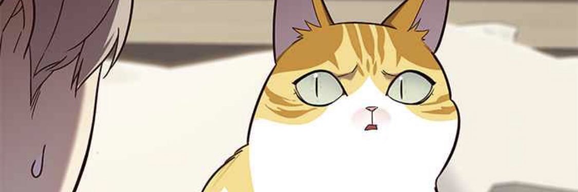 deffaranandya's profile banner image