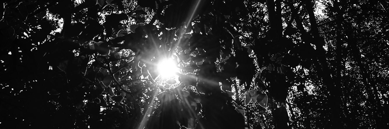 Strange_Trip's profile banner image