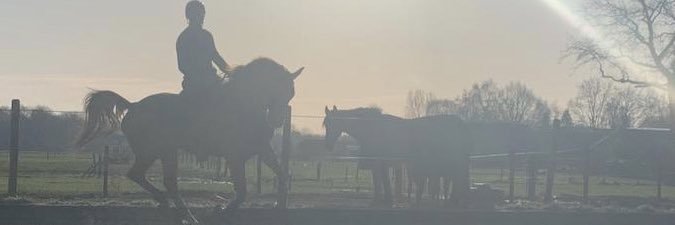 GrootisDennisde's profile banner image