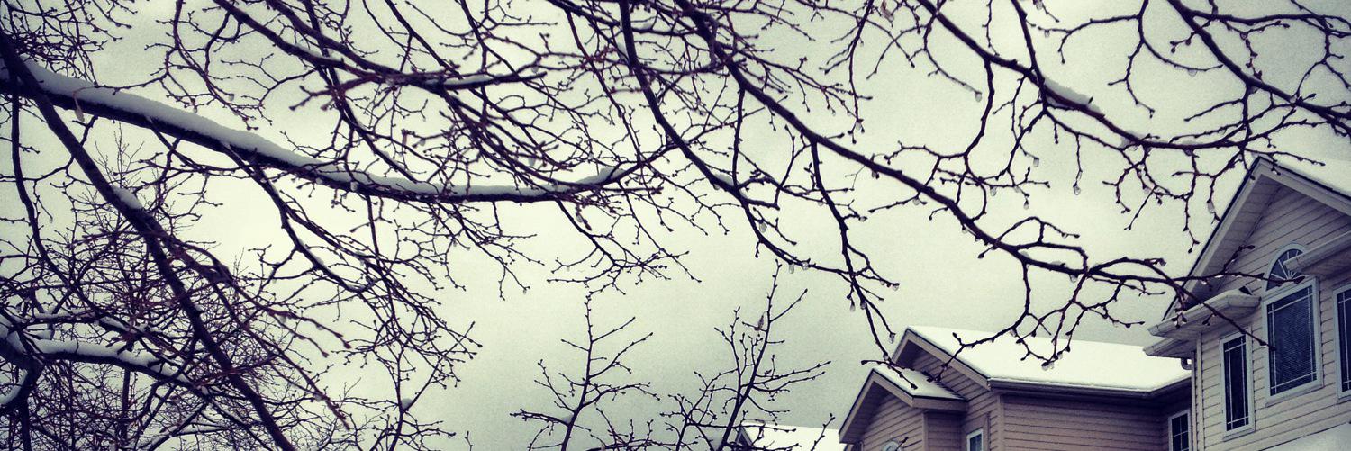 nictwiit's profile banner image