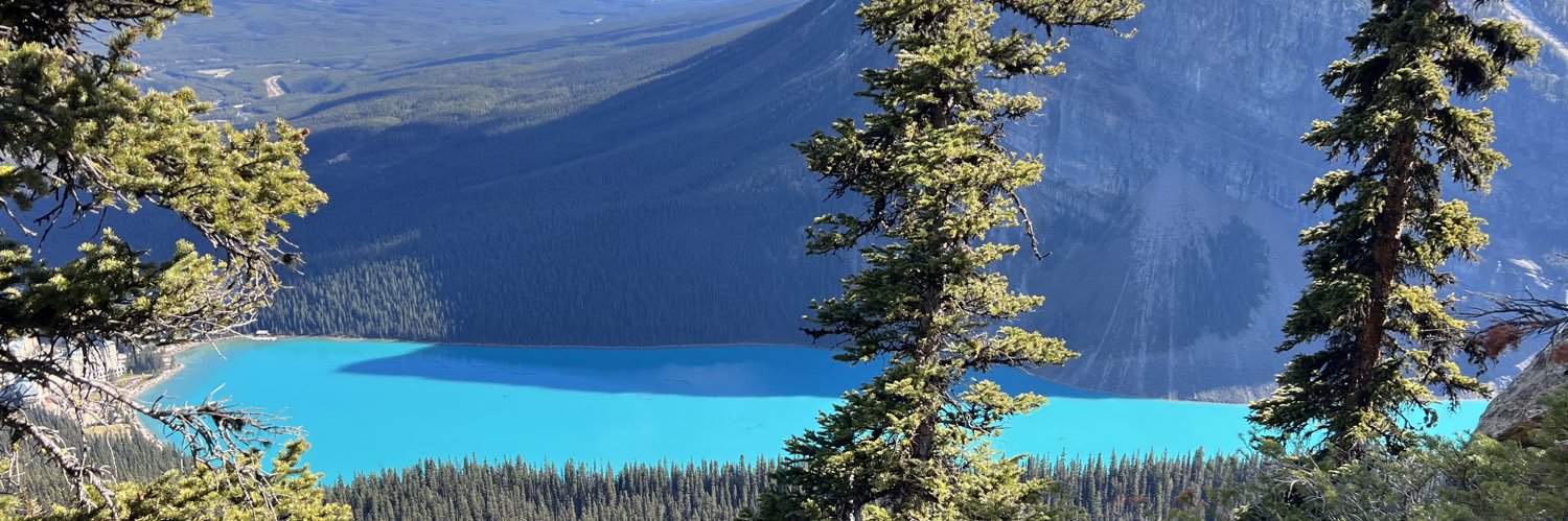 James Stephenson banner