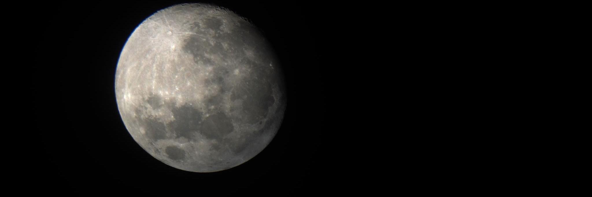 Hasalyn Modine banner