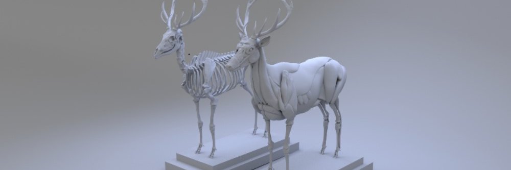Avi_3d's profile banner image