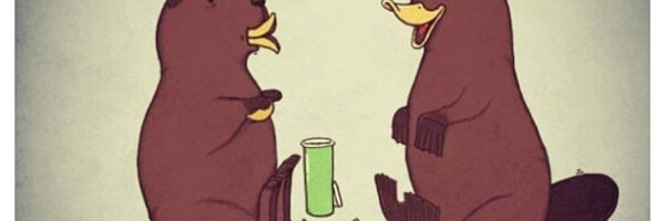 mrshix_ Profile Banner