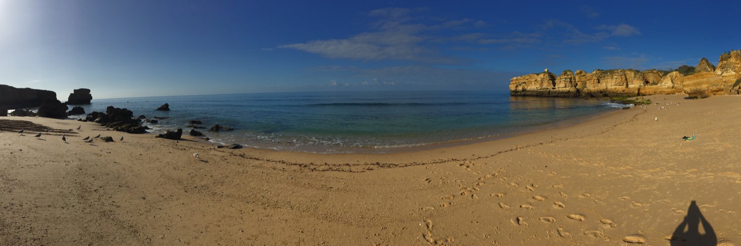 𝐈𝐚𝐧 𝐇𝐨𝐥𝐭 5️⃣ 🌹 banner