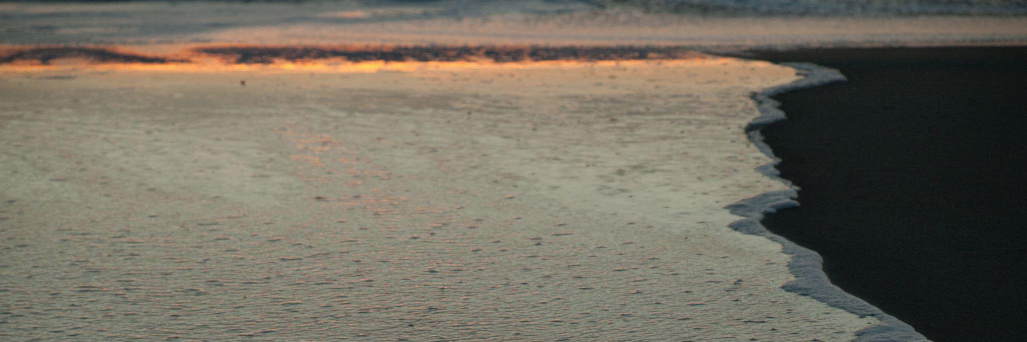 Sven Hermesdorf banner