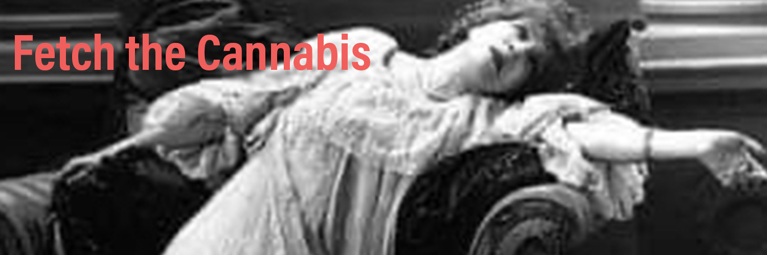 JNotha's profile banner image
