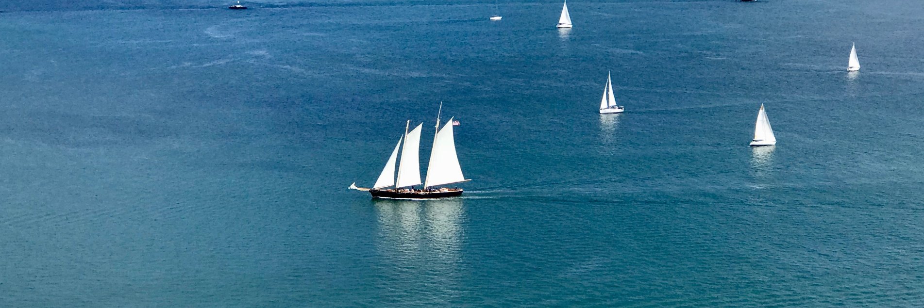 Ayse Tezcan 🐬 banner