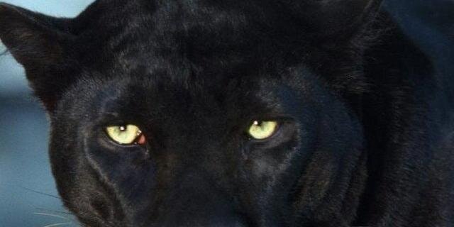 lag68's profile banner image