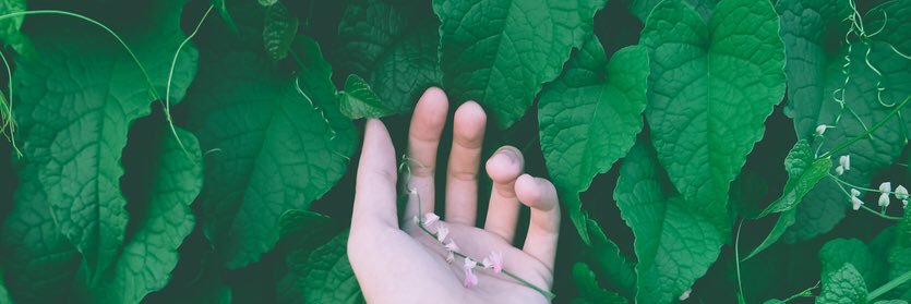JanuaryPages's profile banner image