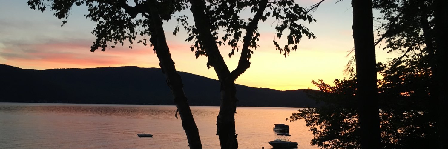 lwalline's profile banner image