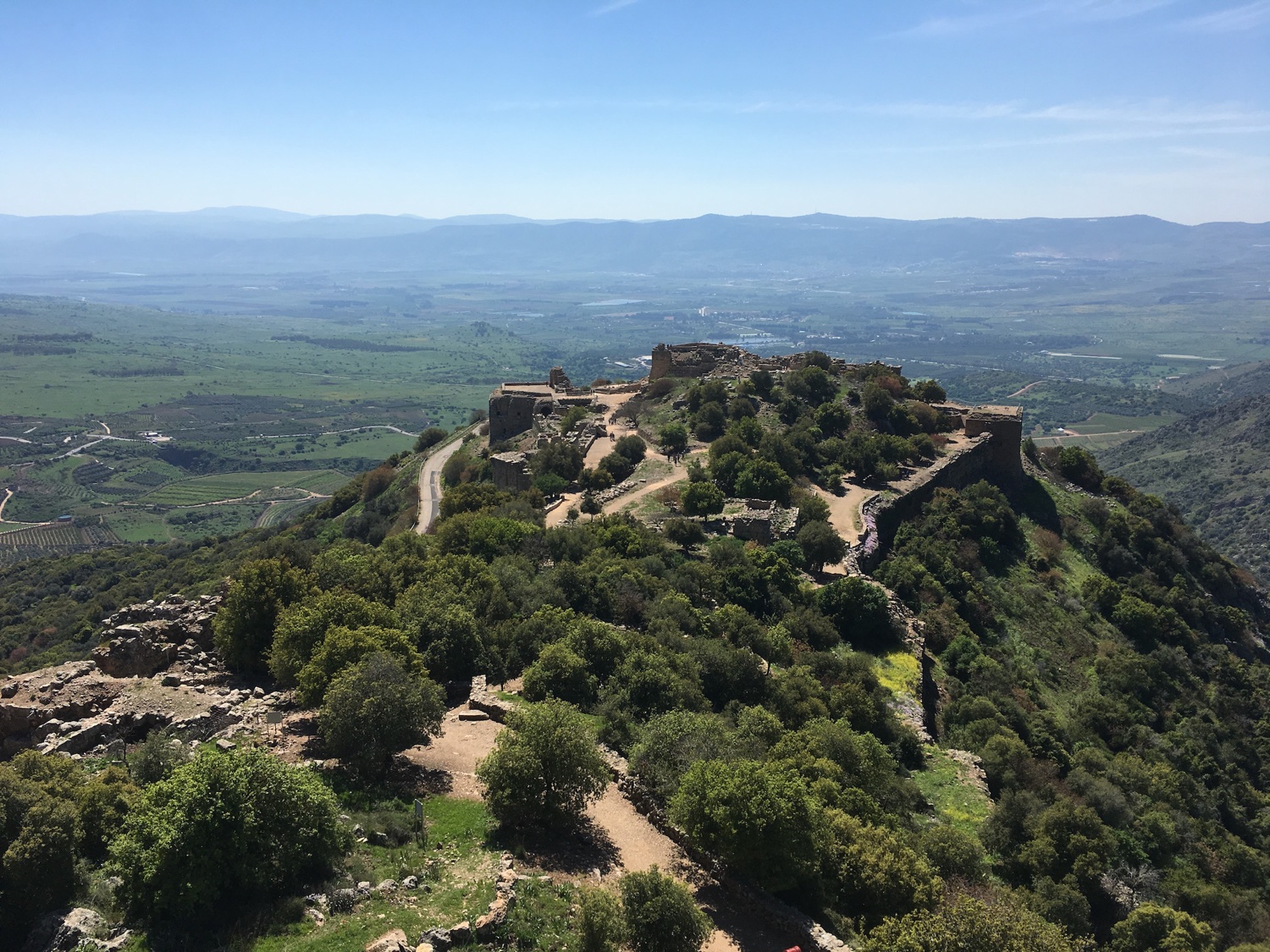 Tim Stettheimer banner