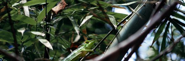 _pulkitagrawal Profile Banner