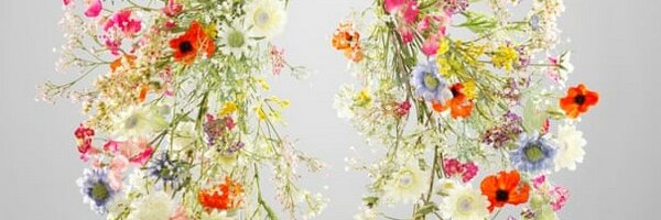 moreactmomi's profile banner image