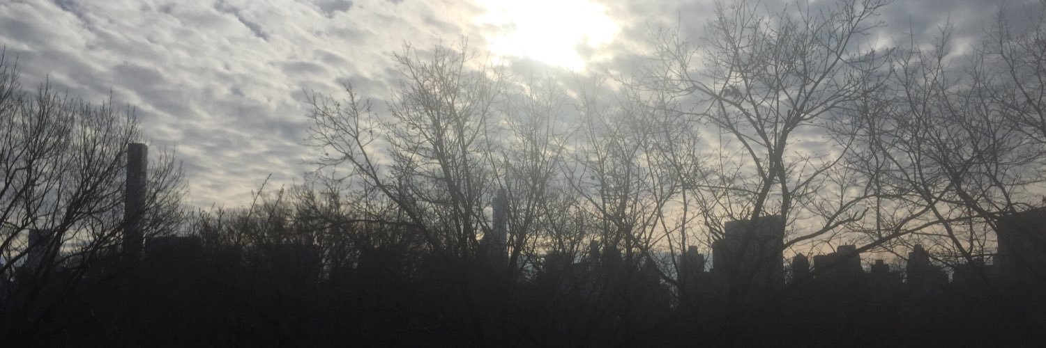 julia_burrell's profile banner image