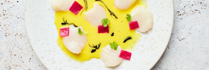 Ceviche banner