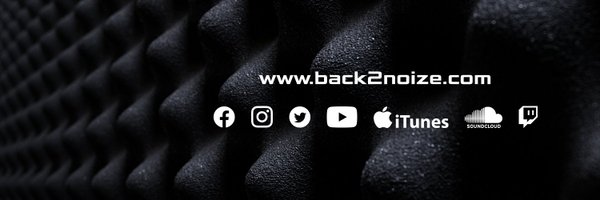 Back2Noize Profile Banner