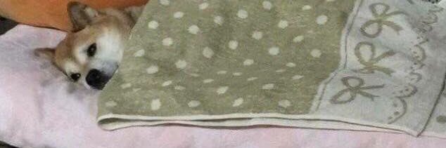☻ banner