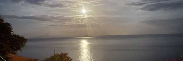 MrsPandY5 Profile Banner