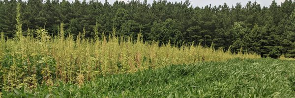 VTAgWeeds Profile Banner