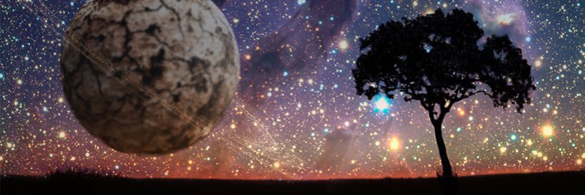 Rowan John banner