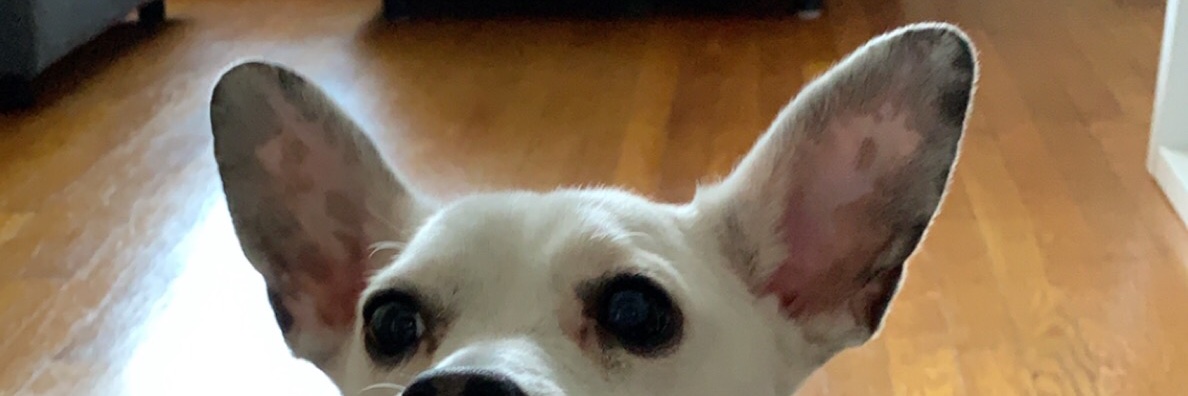dudeoftheworld_'s profile banner image