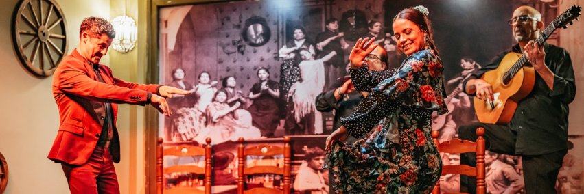 flamencotickets's profile banner image