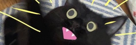 mihooo's profile banner image