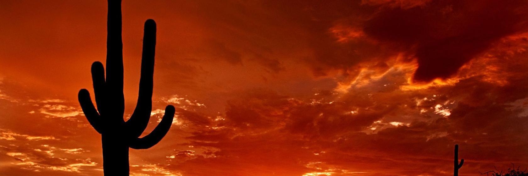 Star_scape's profile banner image