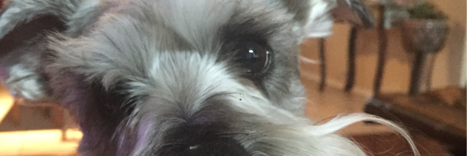 BWB76's profile banner image